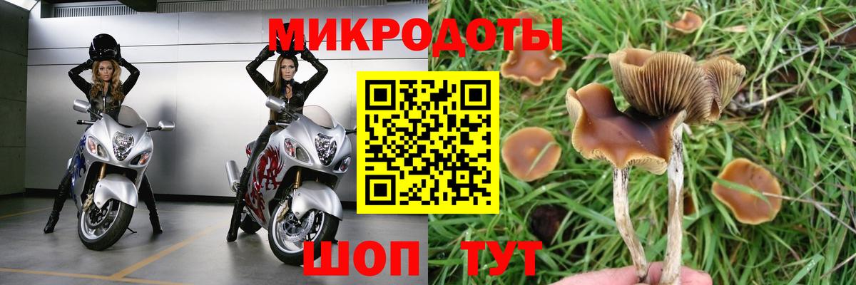 Раменское  наркотики  Вход с VPN  Псилоцибиновые грибы мухоморы 